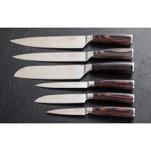 Набор кухонных ножей MTM-KKS001